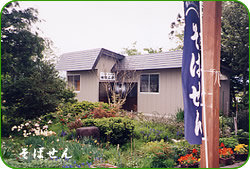 そばせん