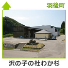 沢の子の杜　わか杉