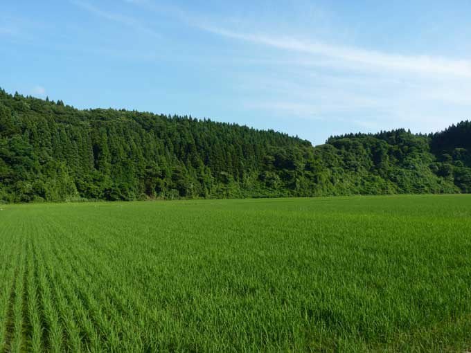 風光明媚な秋田市上新城小又の田園風景