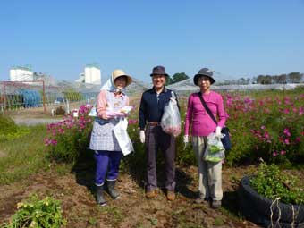 大潟村にて野菜の収穫体験