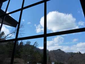 清流の森からの青空