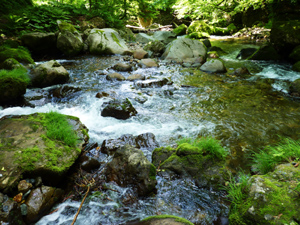 馬場目川上流