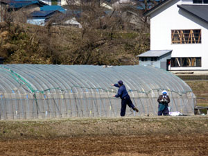 ハウス建て