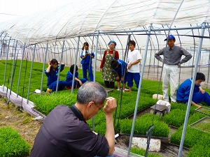 農家民宿　泰山堂