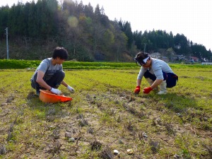 石拾い