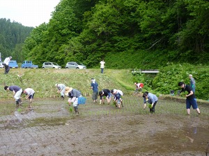 大森GT　棚田オーナー