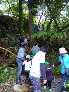 プチ登山