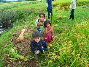 田舎体験