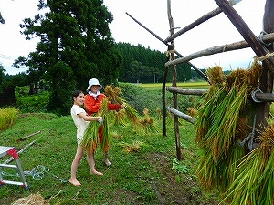 田舎体験