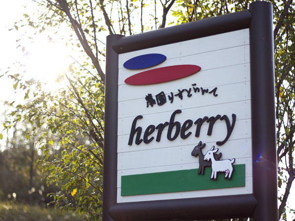 農園りすとらんてherberry