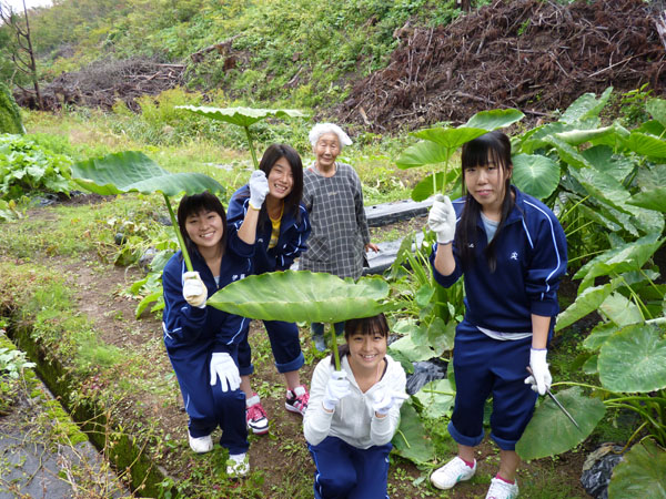 大阪府立吹田高の修学旅行