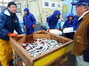 男鹿市北浦漁港にて