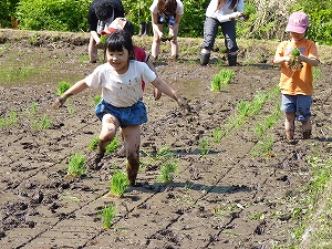 田んぼでかけっこ