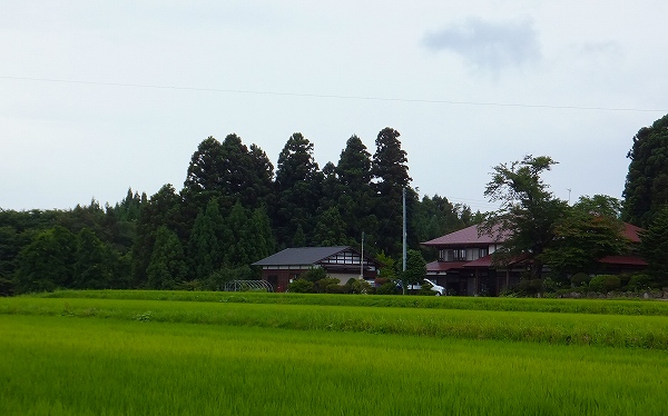 里山のカフェににぎ