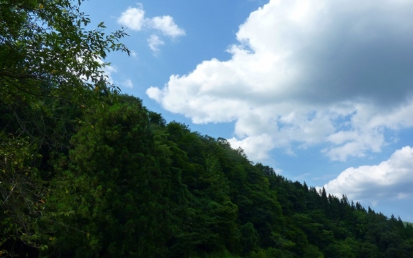 平元家から見える景色