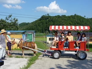 ポニー馬車