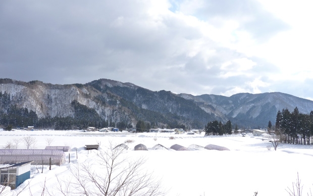 星雪館からの眺め