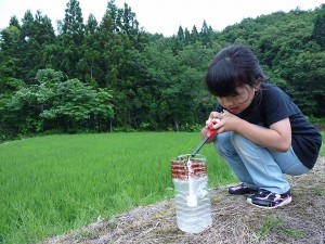 平成２４年度　棚田オーナー（大森町・視覚体験）