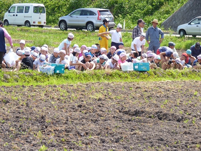 横手市立旭小学校