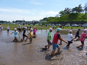 代掻きドッジボール