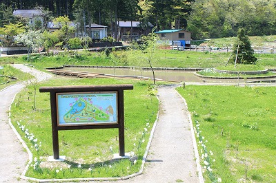 田んぼの生き物観察会