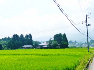 里山のカフェににぎ