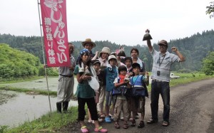 里山のじゅんさい沼で摘み取り体験