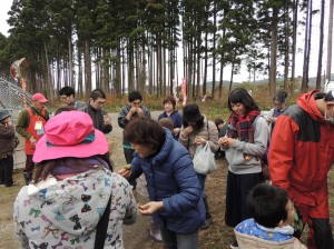 無農薬キウイし試食食べ放題