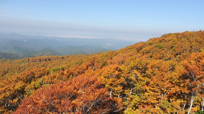 北秋田市阿仁