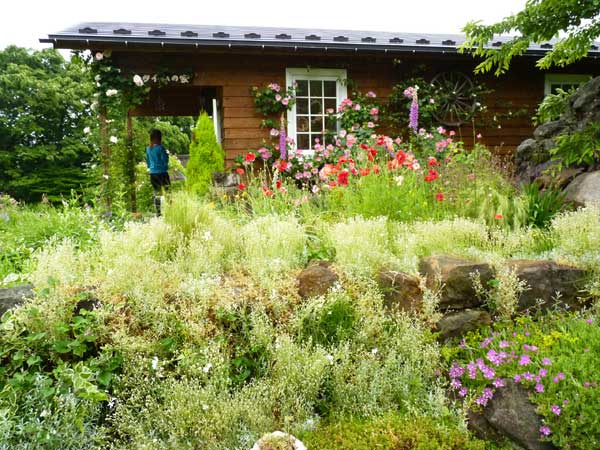 自分だけのものを創ろう タイムの庭で草木染め 秋田花まるっ元気通信 秋田花まるっグリーン ツーリズム推進協議会ブログ