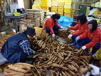 イメージ1
