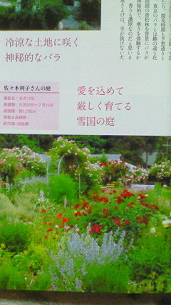 イメージ1