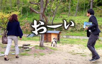 おーい
