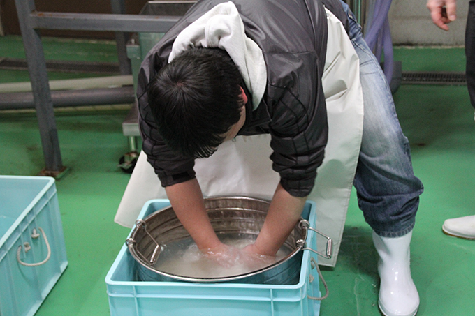 水温２度の水で米をとぎます。これは冷たい！！