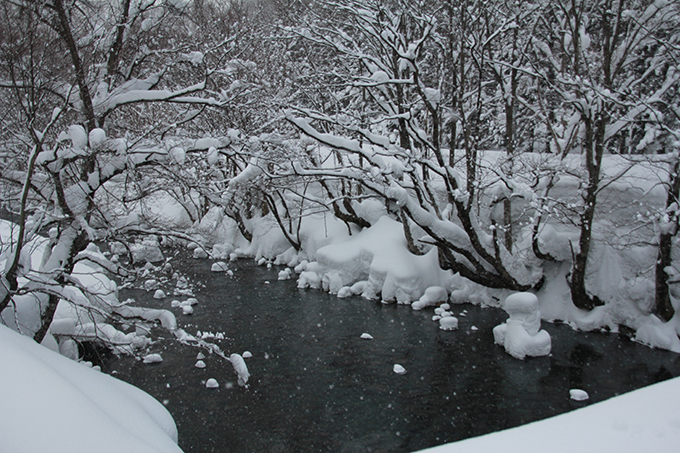  美しい雪景色です。