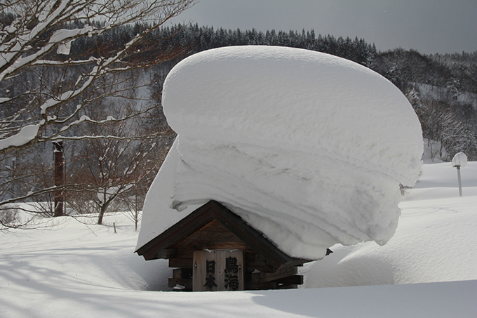 樹氷よりインパクトあるかも…