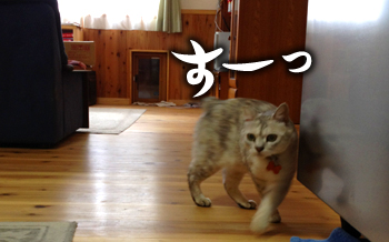 すーっ