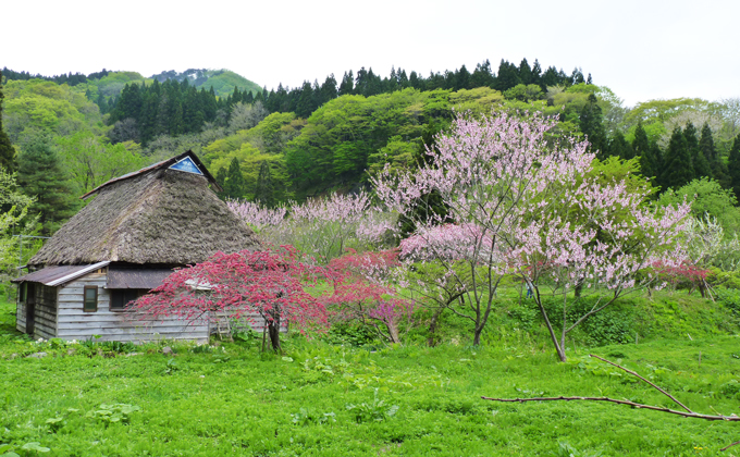 Spring