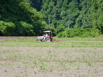 隣の畑で働くトラクター