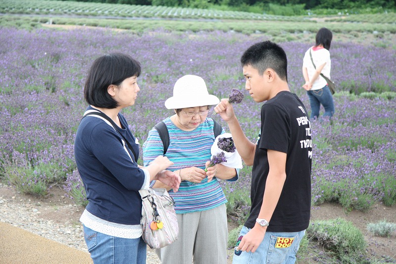 ラベンダー園