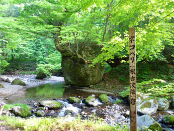 ネコバリ岩
