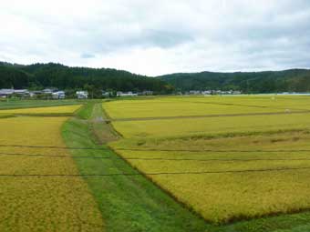 車窓から見える、由利本荘市の田園風景