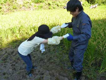 ぬかるみにはまった！