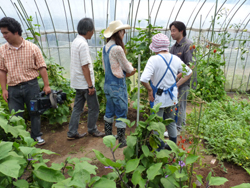 食農観まるごと発信事業ロケ