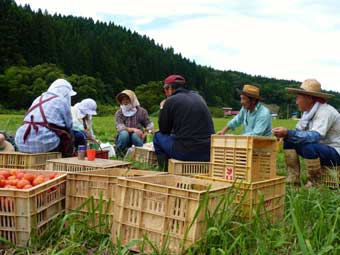 たばこ（秋田で、農作業の合間の休憩のこと）中