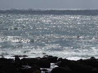 加茂青砂の海