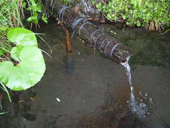 冷水井戸っこ