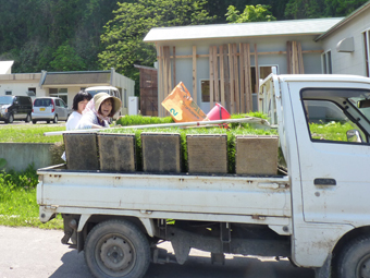 田植え後