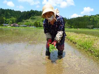 祐子さん