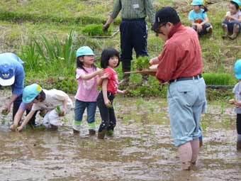 子どもの田植え